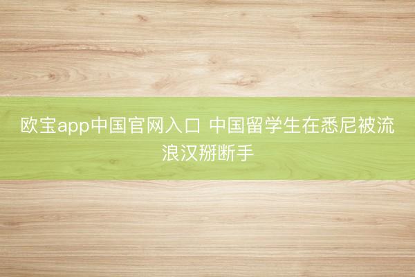 欧宝app中国官网入口 中国留学生在悉尼被流浪汉掰断手