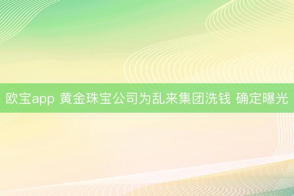 欧宝app 黄金珠宝公司为乱来集团洗钱 确定曝光