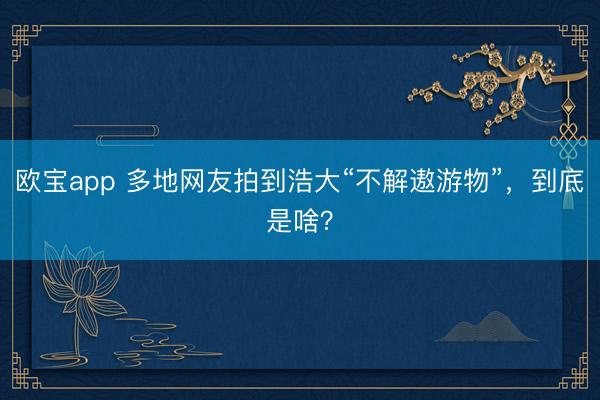 欧宝app 多地网友拍到浩大“不解遨游物”，到底是啥？