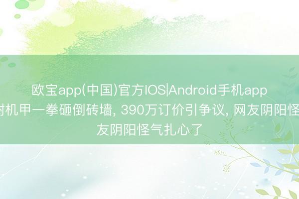 欧宝app(中国)官方IOS|Android手机app下载 宇树机甲一拳砸倒砖墙， 390万订价引争议， 网友阴阳怪气扎心了