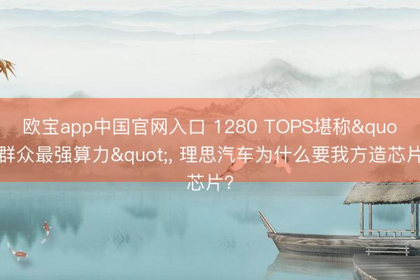 欧宝app中国官网入口 1280 TOPS堪称"群众最强算力"， 理思汽车为什么要我方造芯片?