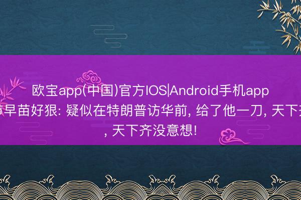 欧宝app(中国)官方IOS|Android手机app下载 高市早苗好狠: 疑似在特朗普访华前， 给了他一刀， 天下齐没意想!