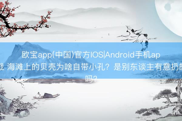 欧宝app(中国)官方IOS|Android手机app下载 海滩上的贝壳为啥自带小孔？是别东谈主有意扔的吗？