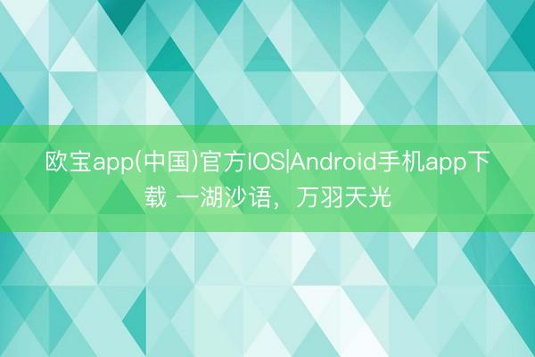 欧宝app(中国)官方IOS|Android手机app下载 一湖沙语，万羽天光
