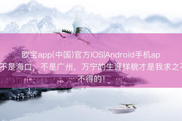 欧宝app(中国)官方IOS|Android手机app下载 不是海口，不是广州，万宁的生涯样貌才是我求之不得的！