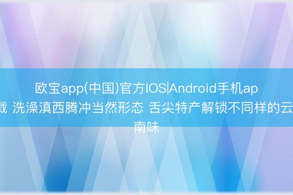 欧宝app(中国)官方IOS|Android手机app下载 洗澡滇西腾冲当然形态 舌尖特产解锁不同样的云南味