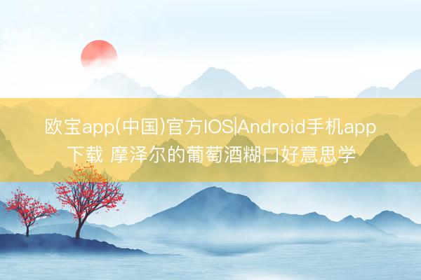 欧宝app(中国)官方IOS|Android手机app下载 摩泽尔的葡萄酒糊口好意思学