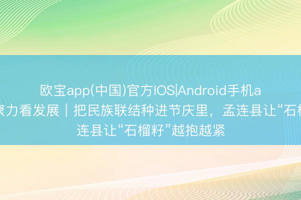 欧宝app(中国)官方IOS|Android手机app下载 凝心聚力看发展｜把民族联结种进节庆里，孟连县让“石榴籽”越抱越紧