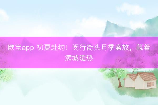 欧宝app 初夏赴约！闵行街头月季盛放，藏着满城暖热