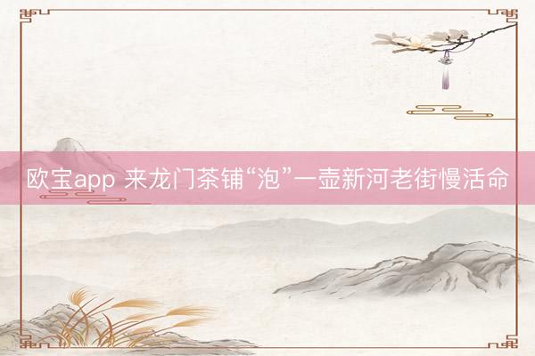 欧宝app 来龙门茶铺“泡”一壶新河老街慢活命