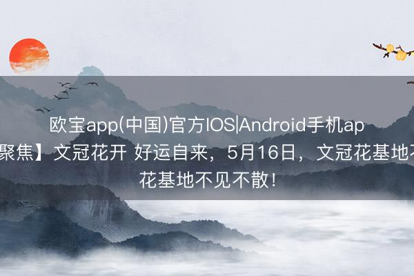 欧宝app(中国)官方IOS|Android手机app下载 【聚焦】文冠花开 好运自来，5月16日，文冠花基地不见不散！