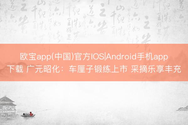 欧宝app(中国)官方IOS|Android手机app下载 广元昭化：车厘子锻练上市 采摘乐享丰充