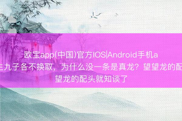 欧宝app(中国)官方IOS|Android手机app下载 龙生九子各不换取，为什么没一条是真龙？望望龙的配头就知谈了