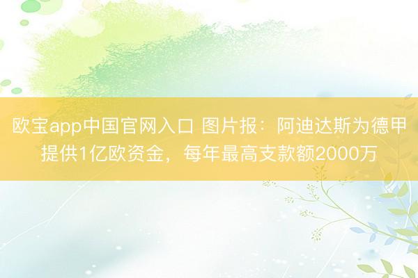 欧宝app中国官网入口 图片报：阿迪达斯为德甲提供1亿欧资金