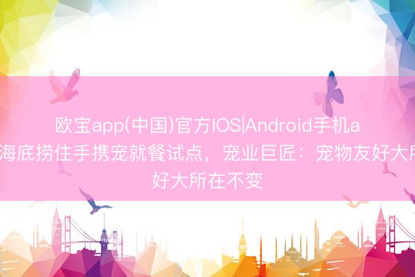 欧宝app(中国)官方IOS|Android手机app下载 海底捞住手携宠就餐试点，宠业巨匠：宠物友好大所在不变