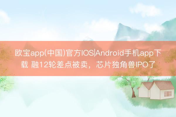 欧宝app(中国)官方IOS|Android手机app下载 融12轮差点被卖，芯片独角兽IPO了