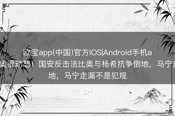 欧宝app(中国)官方IOS|Android手机app下载 法比奥很动怒！国安反击法比奥与杨希抗争倒地，马宁走漏不是犯规