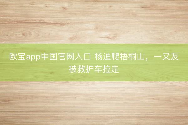 欧宝app中国官网入口 杨迪爬梧桐山，一又友被救护车拉走