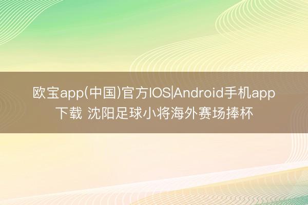欧宝app(中国)官方IOS|Android手机app下载 沈阳足球小将海外赛场捧杯